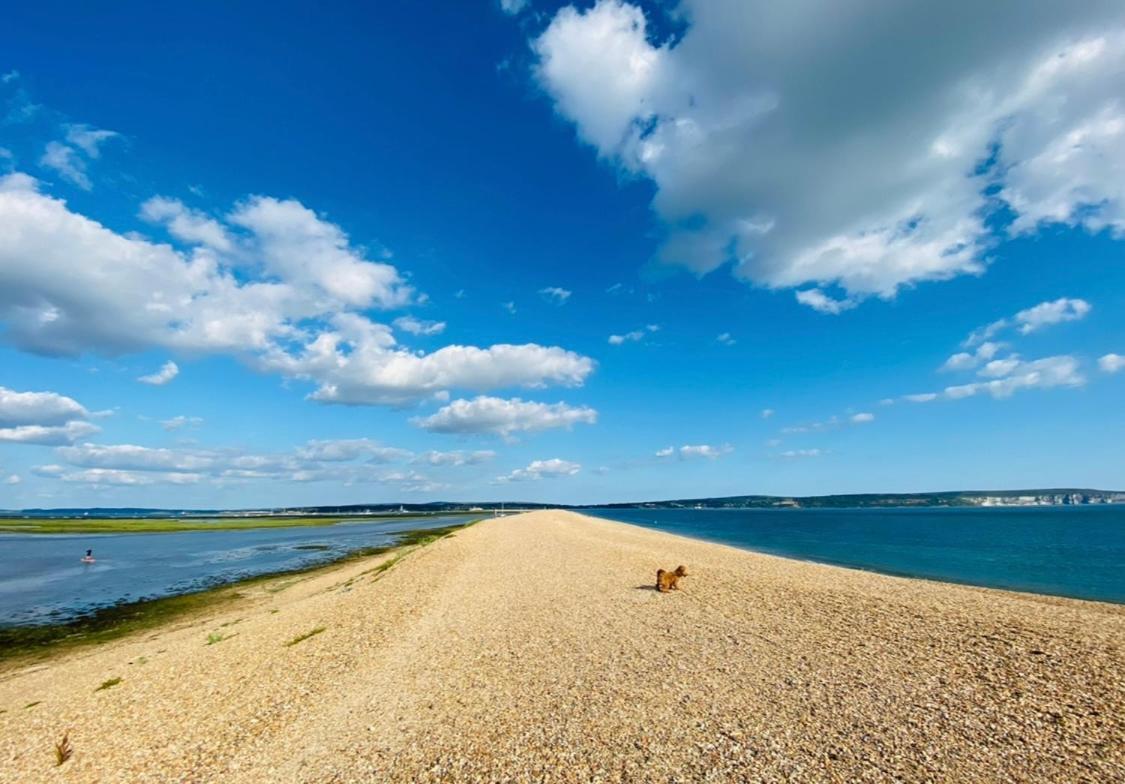 Little Woodside A Beautiful New Forest Self Contained Private Luxury Annexe Нью Милтон Экстерьер фото