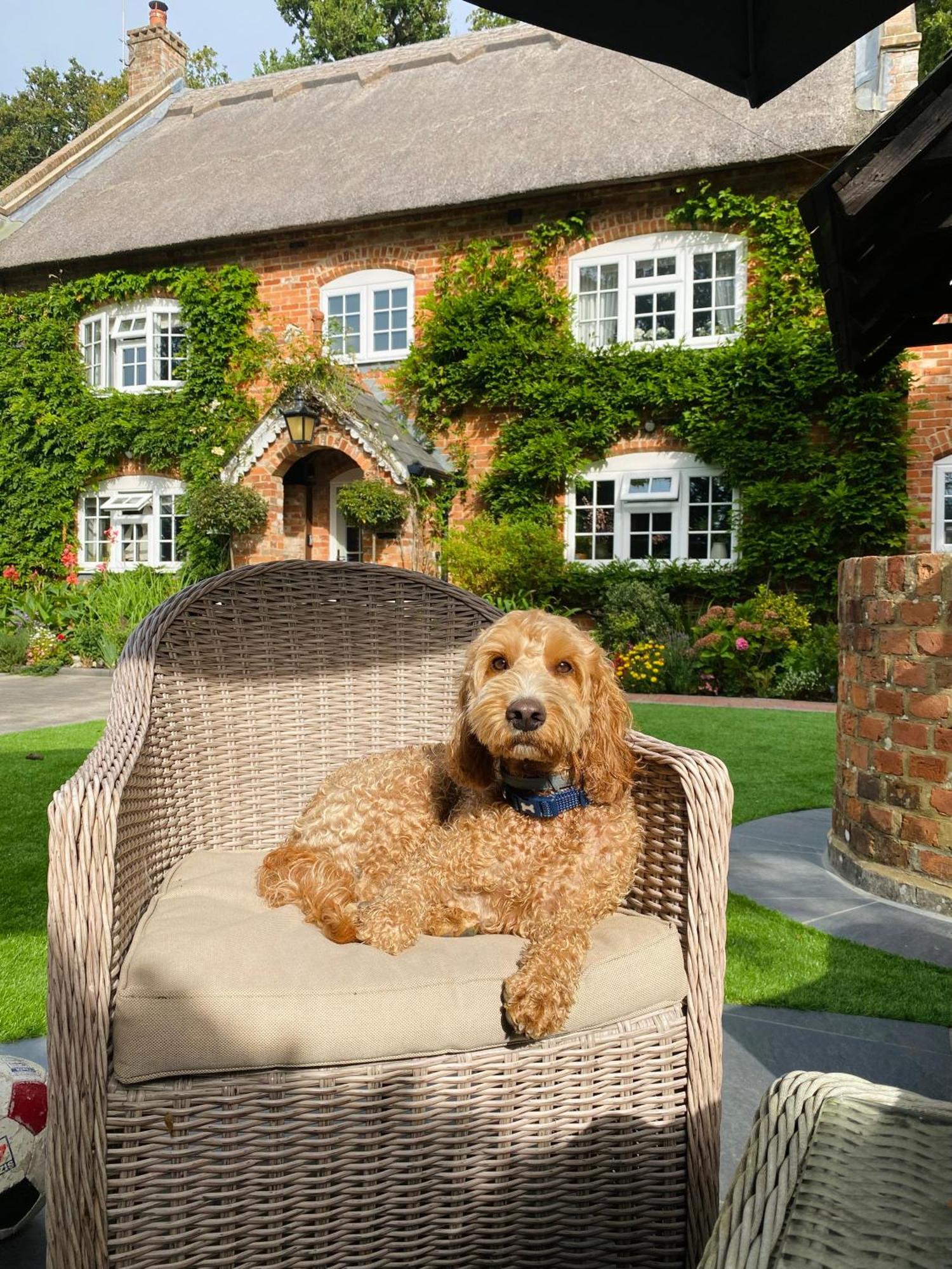 Little Woodside A Beautiful New Forest Self Contained Private Luxury Annexe Нью Милтон Экстерьер фото